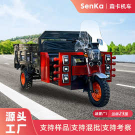 电动三轮车拉货农用家用爬坡载重货车农场运输tricycle三蹦子出口