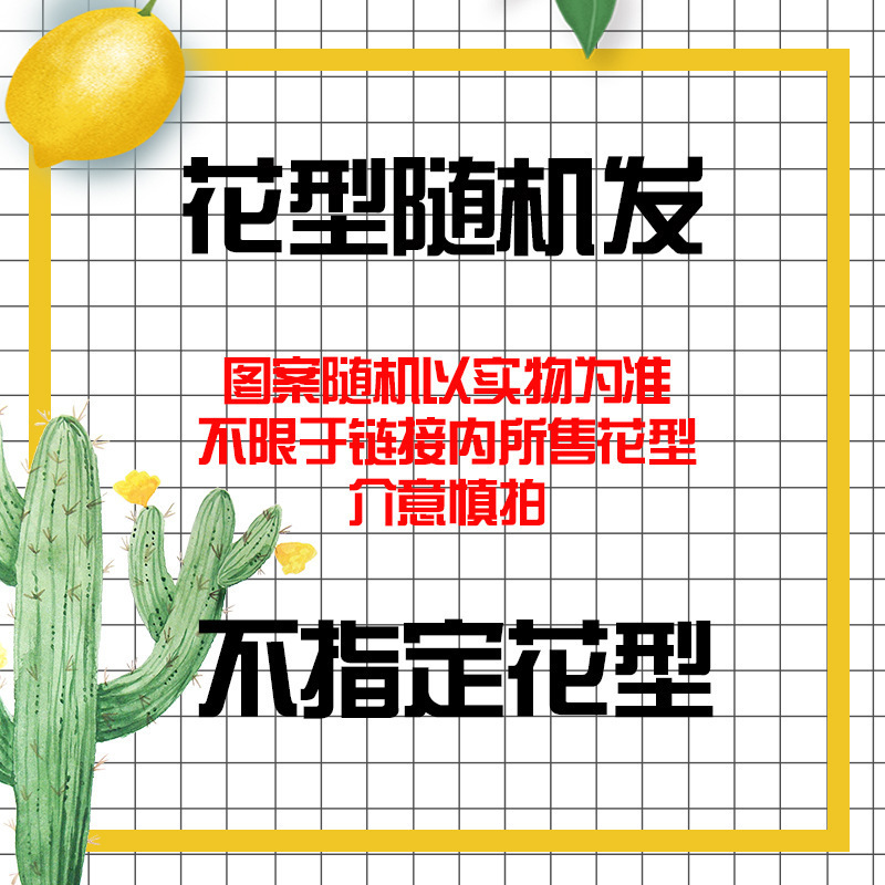 랜덤컬러 o [산모 및 유아용 이중실]