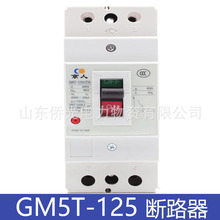 ֱ·GM5T-125M/2TM 63A100A GM100M-2300R