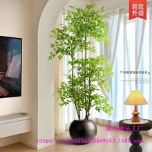 绿植南天竹轻奢室内大型落地盆栽客厅装饰摆件仿生假花树