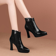 ŮѥŮЬСp2025ﶬֹ͹Q羳