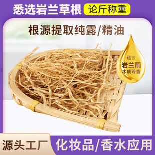 Vetiver Vetiver Root Root, Vetiver Red Extract Essential Oil Hydrosol Cosmetic Raw Materials Manufacturer Wholesale