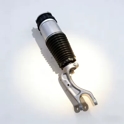 damping system Model X Front