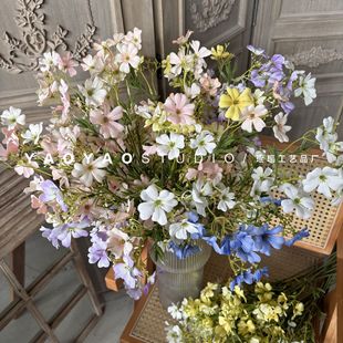 ���`�� ���滨 ��ȻɭϵСҰ���������زĿ͏d�����[�O��ˇins�L