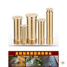 ?��Ȫ���^ˮ�����^Ģ��Ģ���^�����~��ˮ�؇�ˮȫ��ͥԺ��ɽ��Ȫ