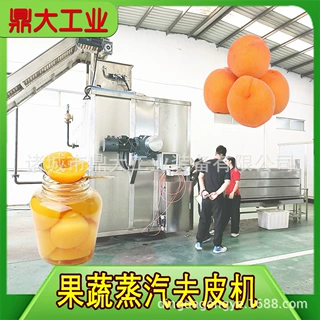 蒸汽去皮机 黄桃加工生产线 葡萄罐头设备 全自动蒸汽脱皮机现货
