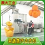蒸汽自动葡萄罐头去皮机