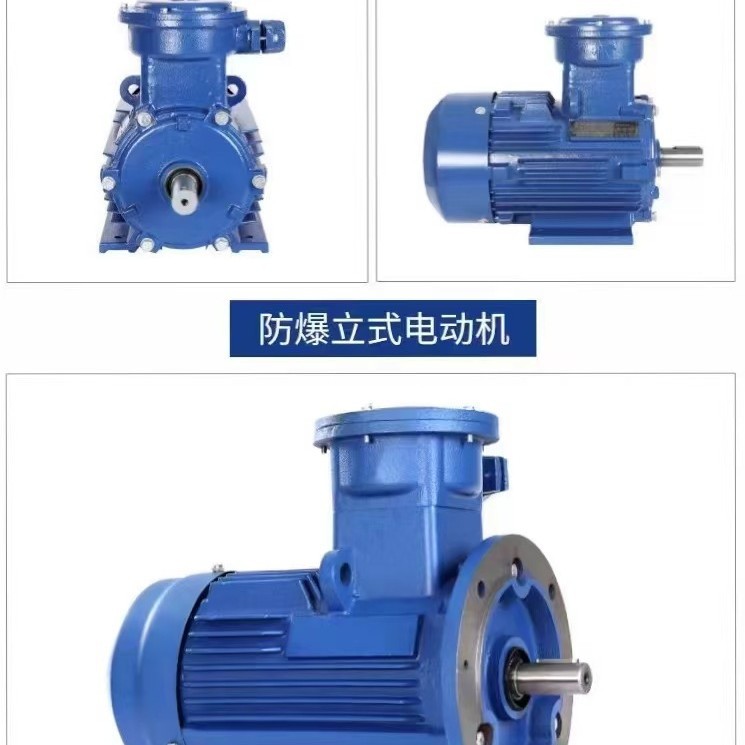 YBX4防爆4级电机 三相380V 国标纯铜隔爆电机  厂家直销变频电机