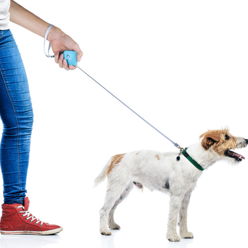 Automatic Retractable Nylon Pet Leash for Small Dogs and Cats, Mini 2-meter Pet Collar, Portable and New Model for International Trade