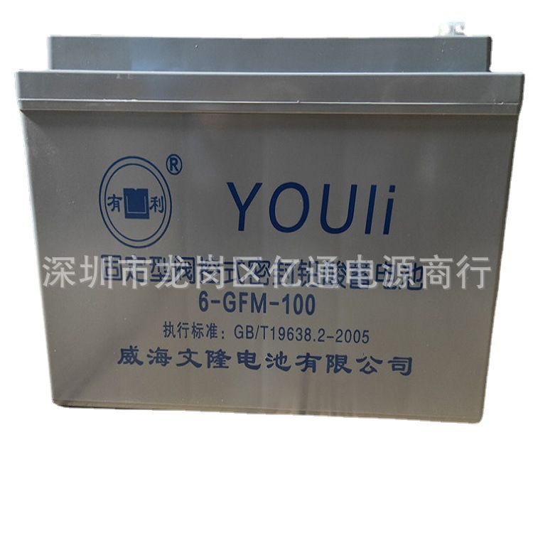 威海文隆有利蓄电池6-GFM-100阀控式铅酸12V100AH电瓶UPS电源专用