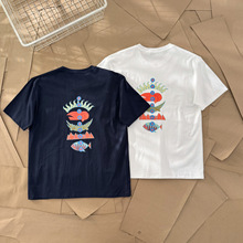 �羳���Qpat�����ؿ�ɽ�}�����H���D������240g����T�����A����