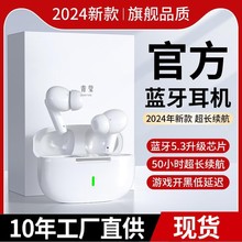 P60�С�׸߶��A����C�����O���\���m��2024�¿����{���o��