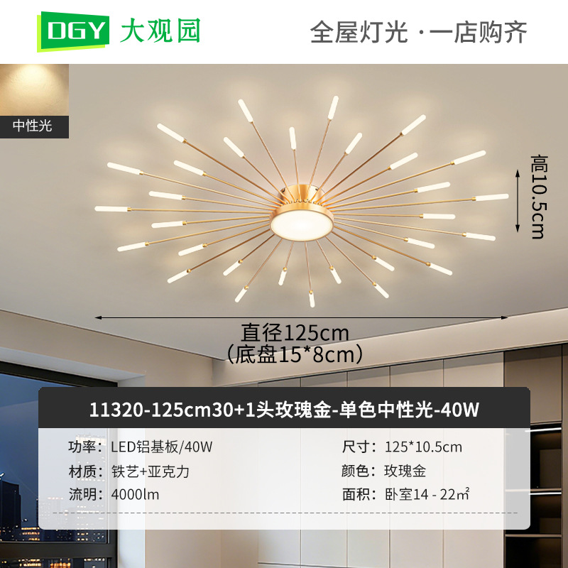 Luz de sala de estar nueva lámpara de fuegos artificiales creativa moderna lámpara de techo de dormitorio minimalista lujoso lujoso lujoso luz de sala de estar L002