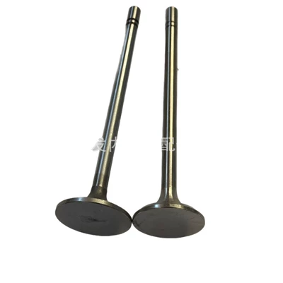 Valves and components C10 intake valve