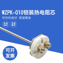 WZPK-010铠装热电阻芯 pt100热电阻传感器K型装配式热电偶测温芯