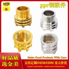 不锈钢PPR嵌件 黄铜PPR外丝内丝嵌件 异形园螺母外螺纹ppr管件