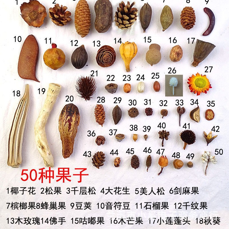 天然干果干花组合材料包圣诞节花材装饰手工环创diy香薰植物标本