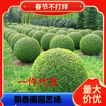 һ�����l���~Ůؑ�����ͥԺ�G�����̽��Ůؑ���Θ䳣�G��ľС�~