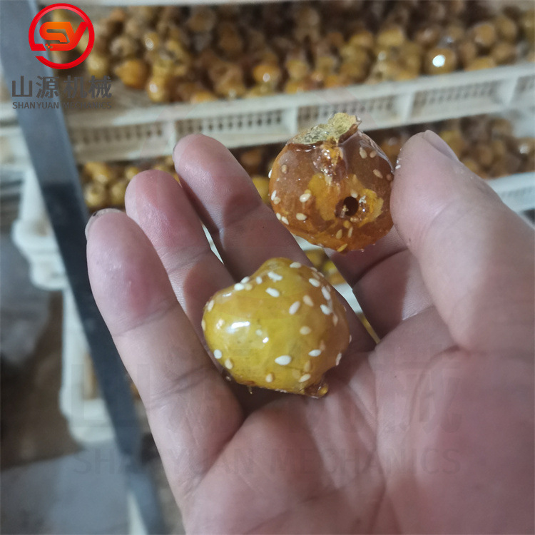 贝贝南瓜裹糖机全自动上糖机生产厂家冻干山楂浸糖设备流水线