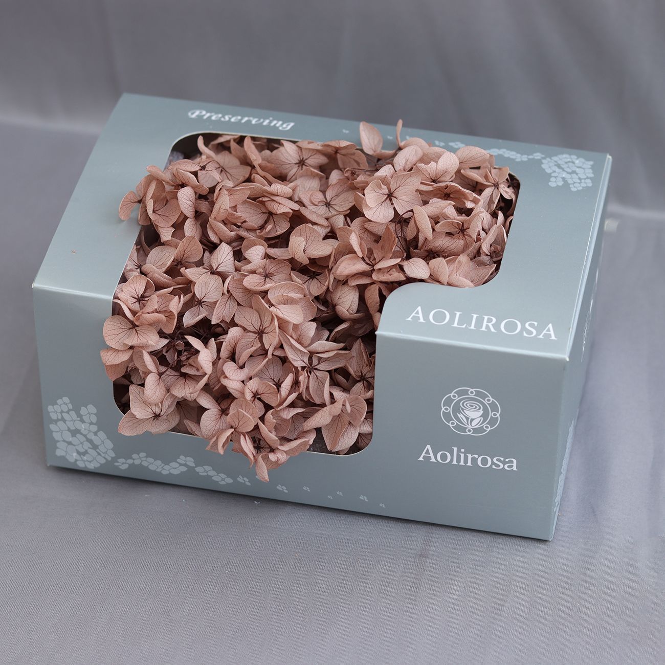 Grado A Anna Hortensia flor permanente flor seca Hortensia de hoja pequeña 20g Hortensia en caja fábrica al por mayor MATERIAL DE FLOR DE San Valentín