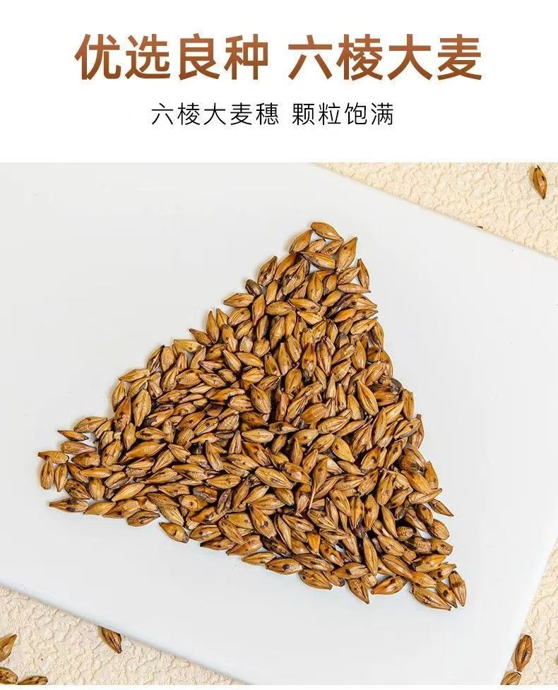 Roasted Barley Tea Loose Grain Herbal Tea Dam Mai Cha for Daily Brewing and Cooking in use