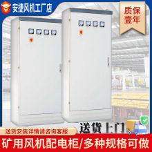 �L�C����׃�l���ә�/�V���L�C�����/�L�C�S��/�����L�C���ә�