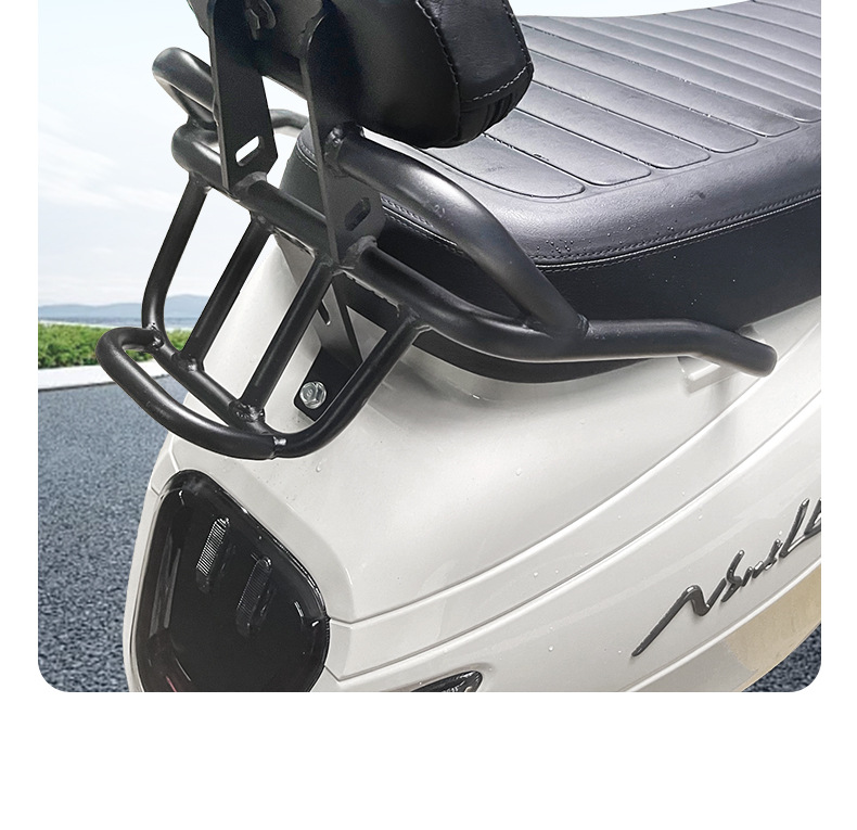 Suitable for 25 Models of New Asia Honda Ns125La Rear Backrest Ns150La Retro Seat Cushion Tail Rack Shelf