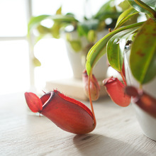 �M����Ʒ�N�����i�\�����������̨�͏d�k���Һ������B30�����