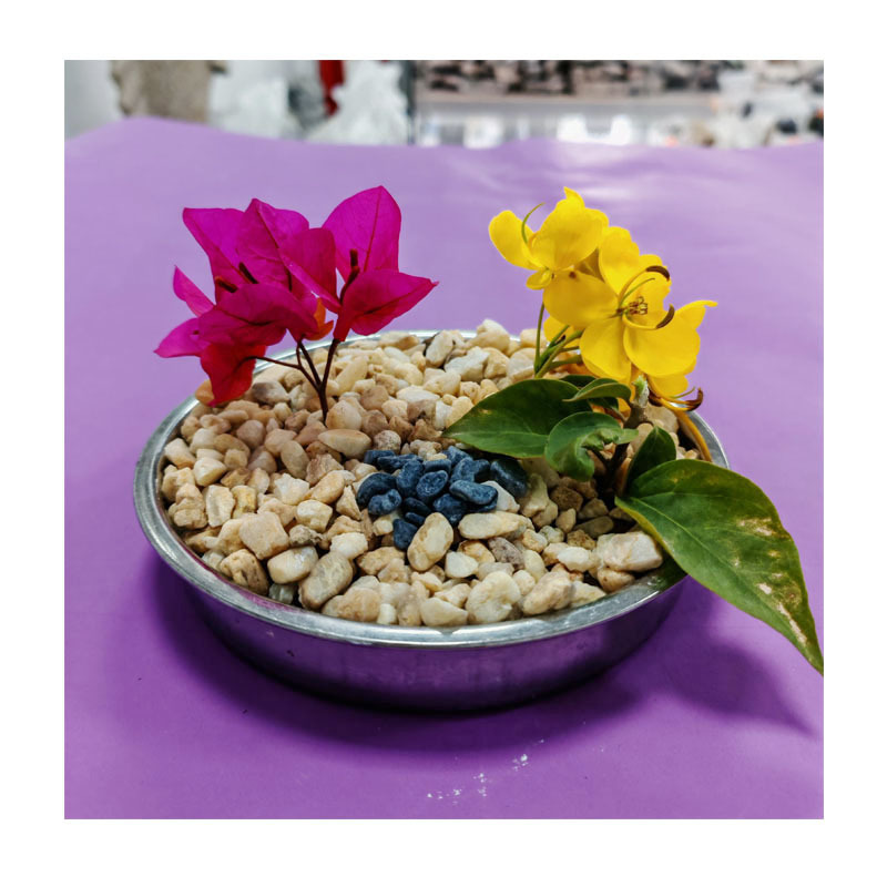 ��ɫ����Ⱦɫ���ʯ�Ӳ�ɫʯ�Ӷ�ͯ�������������쾰԰��ˮ��װ��