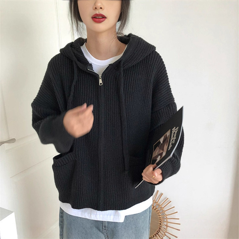Otoño y invierno chaqueta con cremallera de tendencia casual de mujer grande suéter con capuchón holgado coreano chaqueta retro perezosa doble bolsillo