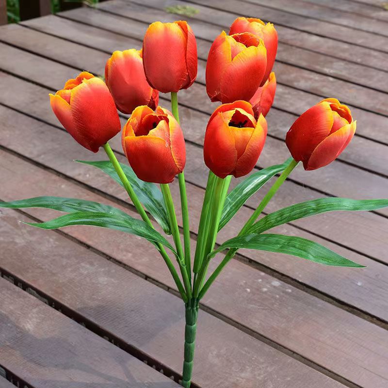 7头郁金香桔色