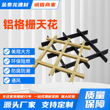 简易格栅吊顶天花网格装饰材料铝铁格栅集成自装葡萄架格栏方格