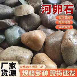 现货变压器鹅卵石5-8公 河道护坡河卵石水处理鹅卵石滤料铺路卵石