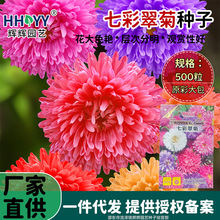 F؛l߲ʴշNͥԺ^pײļܷNذջN