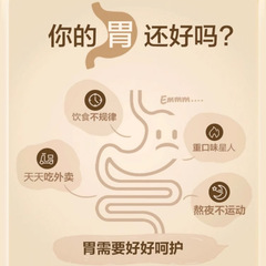 Wholesale Yam, Kudzu, and Coix Seed Porridge – Original-Flavor Coix Seed Powder for Quick-Prep Breakfast Drinks & Instant Whole-Grain Delight