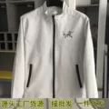 Stand collar bird coat gray