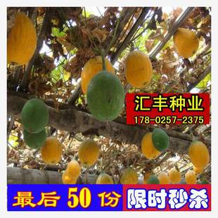 ������ ���V�N�� �컨�� ��� �Ę�N �Ϻt�� ��t15̖ 18̖