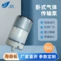 微型负压直流p310真空泵