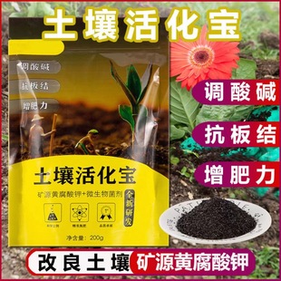 Soil activation treasure plant flower fertilizer mineral source yellow potassium humate Bacillus subtilis microbial agent to promote rooting