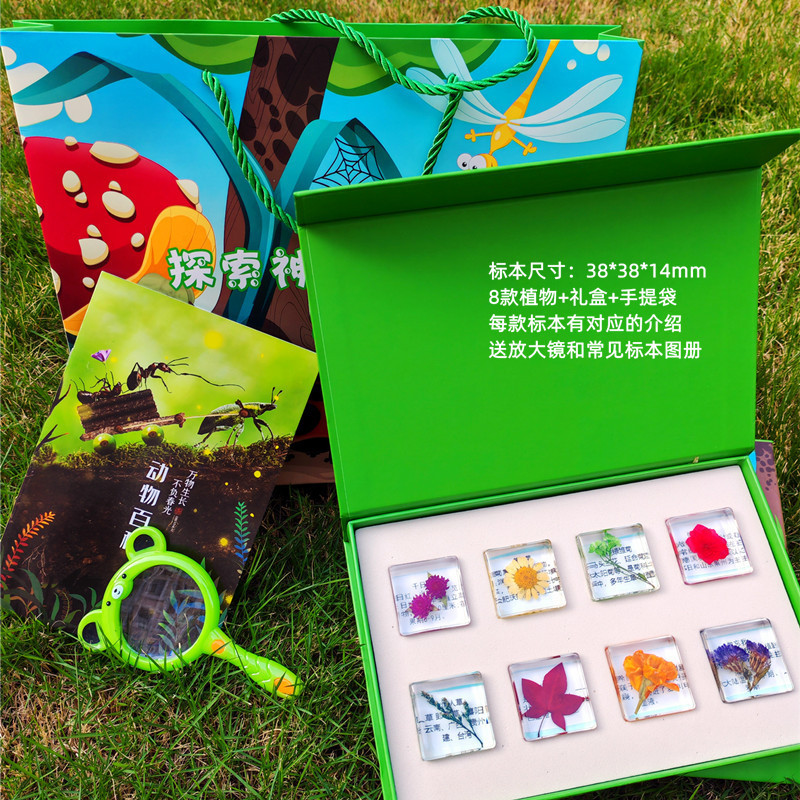 랜덤 식물 8종 + 박스 + 선물가방 (핫스타일)