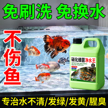 硝化细菌净水王鱼缸专用硝化细菌活菌稳定水质清澈剂养鱼净水剂