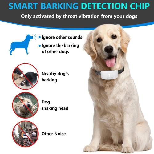 2020 New Touch Anti-Barking Device Dog Trainer Pet Supplies Amazon AliExpress Dropshipping One-Time Delivery