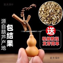 ���J��С���J�N�������������ˌ���ȫ�����^�p�ش�̖���ͺ���̫��