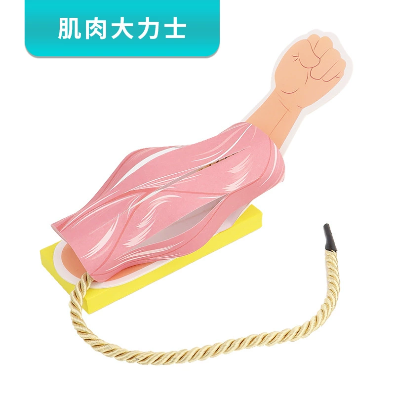 Muscle Hercules DIY Ручная работа небольшое производство пятый класс научный эксперимент рука подъем предплечья Популярные научные игрушки