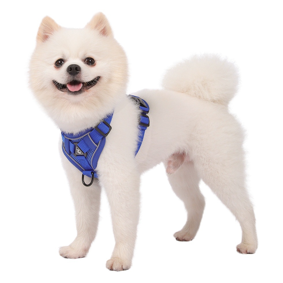Correa universal para mascotas, para gatos y perros, arnés reflectante y transpirable para perros, arnés antiescape tipo chaleco para mascotas, venta al por mayor