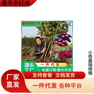 ���_˹8̖���ҹ�������˙��Ҙ��箔��Y�� ��ɫ����܇���Ӵ����