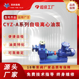 �����x���ͱ�50CYZ-A-17�~�~݆����ֱʽ�������ͼ״���������ʽ