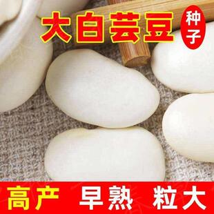 �߮a���ܿ���N���r�Ҵ��ܿ���Ѱ�녶����w����ܿ���N���ļ����N