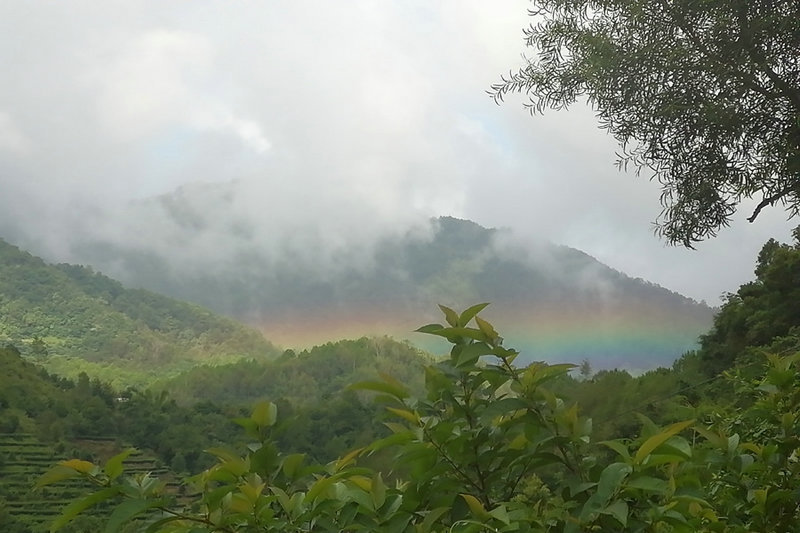 9411205444_1435144620