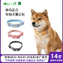 数码印花定制狗狗狗脖圈